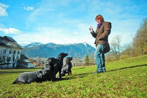 In 36 verschiedenen Stationen überprüft Ruth Hochstätter das Wesen der Hunde. Fotos: VN/Hartinger
