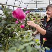 Vorarlbergs blumige Vielfalt