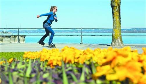 Mit Vollgas dem Frühling entgegen: An den Bregenzer Seeanlagen zeigt sich die Flora bereits von ihrer farbenprächtigsten Seite. Foto: VN/Hartinger