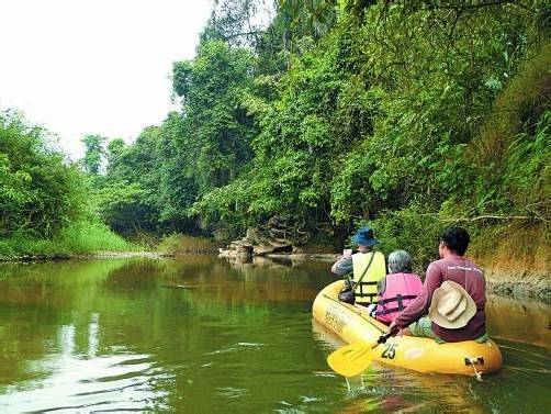 Paddeltour auf dem River Sok: spannend und unbedenklich. Die Schlangen werden erst nachts aktiv. Foto: M. Matt
