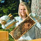 Fast jeder kann den Bienen helfen