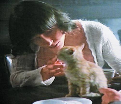 Szene aus dem Video „Katzenpyjama“ von Yana Ankudovich.