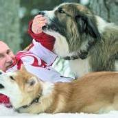 Putin gibt sich als Tierfreund