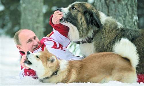 Tierfreund: Kreml-Chef Putin ließ gestern Fotos von sich und seinen beiden Hunden veröffentlichen. Foto: Reuters