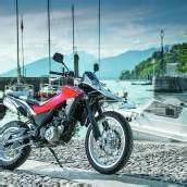 Dynamischer Eintopf nun mit KTM „verwandt“