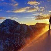 Fantastische Bilder