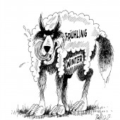 Wolf im Schafspelz!