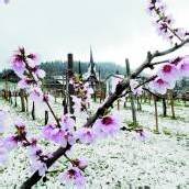 Winterwetter hat endgültig ausgedient: Diese Woche kehren Sonne und frühsommerliche Temperaturen zurück