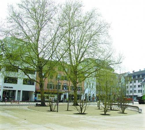 Am neuen Kornmarkt fahren nun auch Busse. Foto: VN/Paulitsch