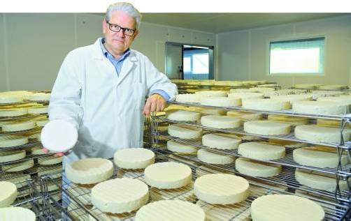 Damit sich der Schimmel richtig entwickeln kann und die Käse bestens reifen können, ist die reine Luft im Käsekeller von entscheidender Bedeutung. Fotos: vn/hofmeister
