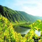 Ein Radklassiker: Von Winzerhof zu Winzerhof