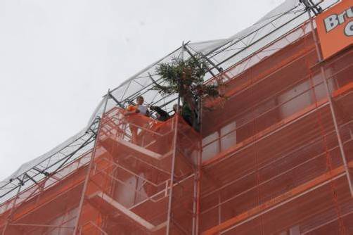 Die traditionelle Tanne schmückt seit der Firstfeier das Gebäude des Campus II in Dornbirn. Foto: eh