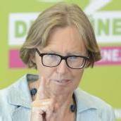 Moser plädiert für Stärkung der Kontrollrechte