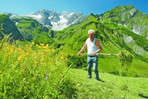Nicht weniger als die Artenvielfalt auf den Alpen steht auf dem Spiel. Foto: l. berchtold
