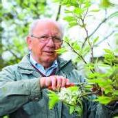 „Zu wenige Baumpfleger im Land“