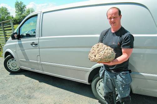 Roland Knoll mit einem leeren Wespennest in den Händen. Das Firmenauto ist unbeschriftet – der Diskretion wegen. FOT0: D. HOFER