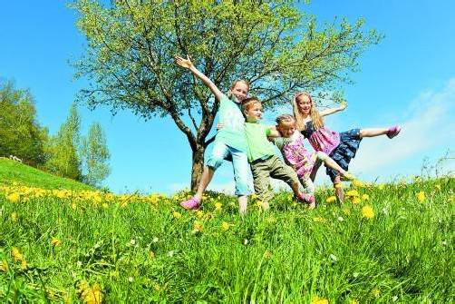 Weil zu früh gemäht wird, sind blühende Wiesen ein viel zu seltener Anblick geworden. Foto: l. berchtold