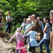 Eine Zeitreise durch die Pfänderwälder