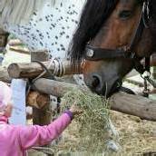Beliebte Tierausstellung