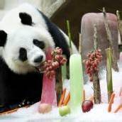 Panda feierte Geburtstag