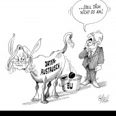 Goldesel hat sich geziert!