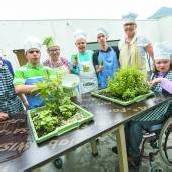 Ein Gartenparadies im dritten Stock