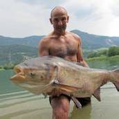 41,2-Kilo-Karpfen: Tiroler mit fetter Beute