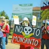 Monsanto zieht sich aus Europa zurück?