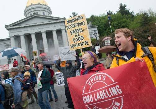 Die weltweiten Proteste gegen den US-Agrarkonzern Monsanto haben dessen angeblichen Rückzug aus Europa provoziert. Foto: ap