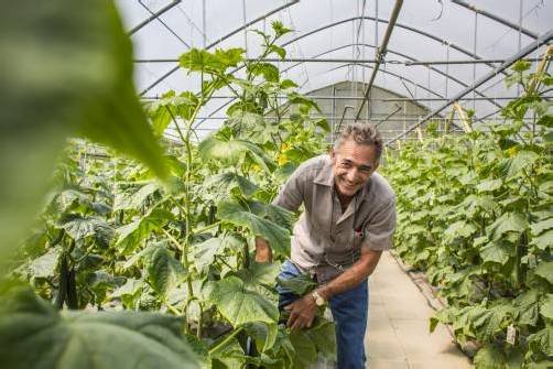 Martin Brunner lädt kommenden Sonntag ins Gemüse-, Kräuter- und Gartenparadies Mahlerhof. fotos: mk