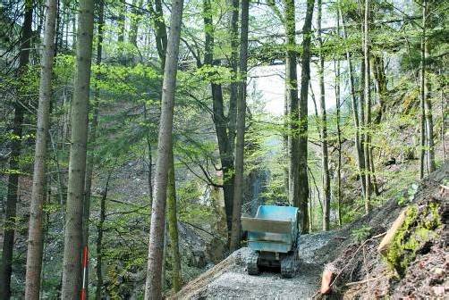 Oberer Abschnitt des neuen Wanderwegs. Im Hintergrund die Rappenlochbrücke. Foto: ha