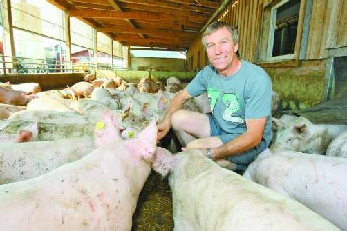 Schweinezüchter Markus Gstach hat seinen Betrieb komplett umgestellt. Die Bilder des Schweineskandals vor zwei Jahren haben ihn dazu animiert. Foto: vn/Hofmeister