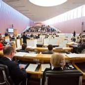 Abgeordnete legen Einkommen offen