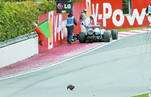 Unfall von Pastor Maldonado – und ein Murmeltier macht sich aus dem Staub. Foto: ap