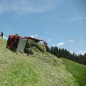 Heu-Unfall Olympiasieger Strolz verletzt /b1