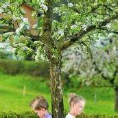 Buch am Bach Messe für junge Leser /A6, Beilage