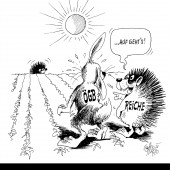 Der Hase und der Igel!