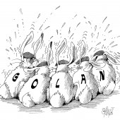 UN-Schutztruppe!