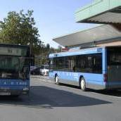 60 Millionen Fahrgäste seit 1993 in Bregenz