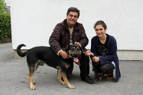 „Chiko“ weckte seine Familie durch lautes Gebell. Foto: vol.at/rauch