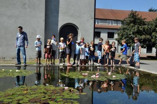 Am Dienstag und Mittwoch starten wieder die beliebten Sommerforschungstage in der Dornbirner inatura für Kinder von 7 bis 11 Jahren. foto: vn-archiv