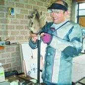 Elf Medaillen für die Vorderlader-Schützen