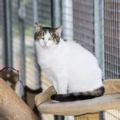 Larry ist ein ganz liebes und witziges Kerlchen