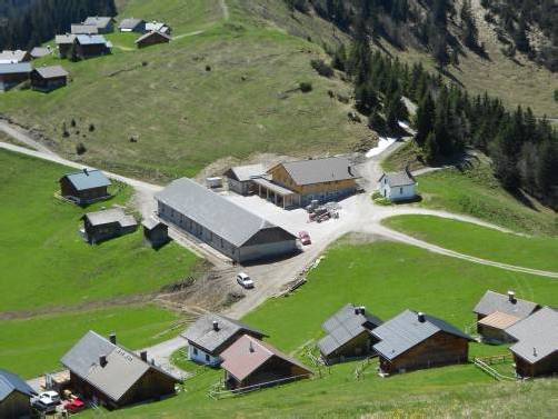 Erstrahlt nach einer Investition von 700.000 Euro in neuem Glanz: die Alpe Gamp und das neue Sennhaus oberhalb von Nenzing. Foto: Kag