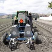 Roboter ersetzen Erntearbeiter