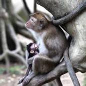 Idylle im Zoo von Taipeh