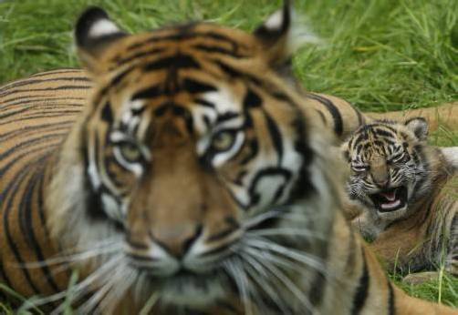FOTO: REUTERS