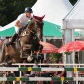 Springreitturnier beim RC Wildfang Klaus