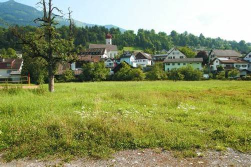Soll mit Zentrum verbaut werden: der sogenannte Pfarrbongert in der Walgaugemeinde Thüringen. Foto: Hronek