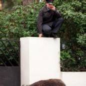 Polizei jagte Wildschwein